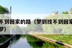梦到找不到回家的路（梦到找不到回家的路了周公解梦）