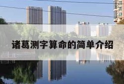 诸葛测字算命的简单介绍