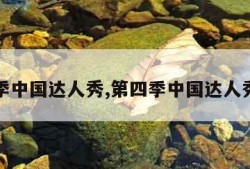 第四季中国达人秀,第四季中国达人秀魏炜