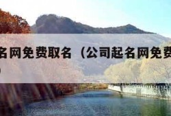 公司起名网免费取名（公司起名网免费取名打分测试）