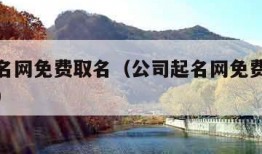 公司起名网免费取名（公司起名网免费取名打分测试）
