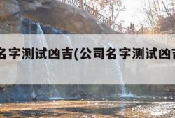 公司名字测试凶吉(公司名字测试凶吉1518)