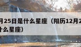 12月25日是什么星座（阳历12月25日是什么星座）