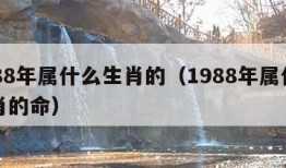 1988年属什么生肖的（1988年属什么生肖的命）