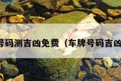 车牌号码测吉凶免费（车牌号码吉凶查询）