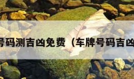 车牌号码测吉凶免费（车牌号码吉凶查询）