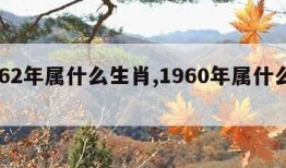 1962年属什么生肖,1960年属什么生肖