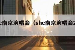 she南京演唱会（she南京演唱会2005）