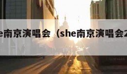 she南京演唱会（she南京演唱会2005）