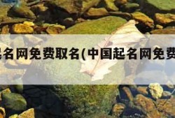 中国起名网免费取名(中国起名网免费取名APP)