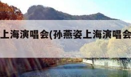 孙燕姿上海演唱会(孙燕姿上海演唱会开过几次)