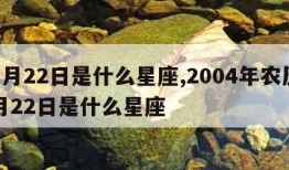 11月22日是什么星座,2004年农历11月22日是什么星座