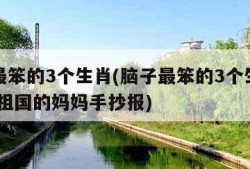 脑子最笨的3个生肖(脑子最笨的3个生肖我爱你,祖国的妈妈手抄报)