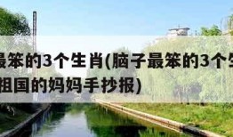 脑子最笨的3个生肖(脑子最笨的3个生肖我爱你,祖国的妈妈手抄报)