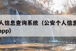 公安个人信息查询系统（公安个人信息查询系统官网app）