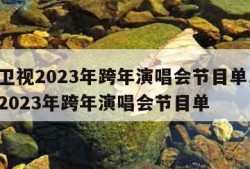 江苏卫视2023年跨年演唱会节目单,江苏卫视2023年跨年演唱会节目单