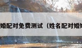 姓名合婚配对免费测试（姓名配对婚姻免费）
