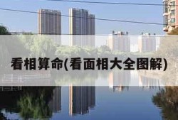 看相算命(看面相大全图解)