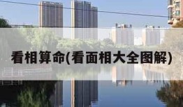 看相算命(看面相大全图解)