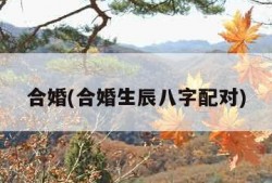 合婚(合婚生辰八字配对)