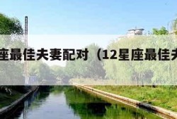 12星座最佳夫妻配对（12星座最佳夫妻配对图）