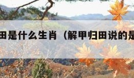 解甲归田是什么生肖（解甲归田说的是什么生肖）