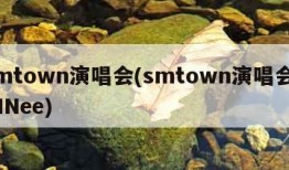 smtown演唱会(smtown演唱会SHINee)