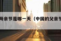 中国的母亲节是哪一天（中国的父亲节是哪一天）