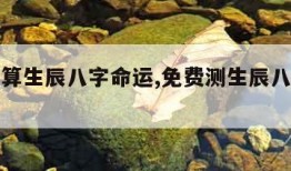 免费测算生辰八字命运,免费测生辰八字测试结果