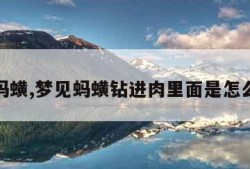 梦见蚂蟥,梦见蚂蟥钻进肉里面是怎么回事
