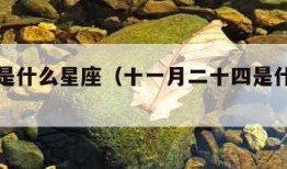 十一月是什么星座（十一月二十四是什么星座）