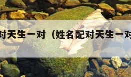 姓名配对天生一对（姓名配对天生一对易安居）