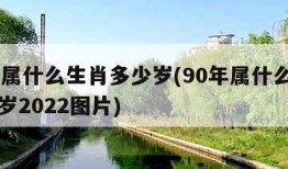 90年属什么生肖多少岁(90年属什么生肖多少岁2022图片)