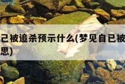梦见自己被追杀预示什么(梦见自已被追杀是什么意思)