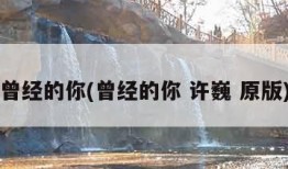 曾经的你(曾经的你 许巍 原版)