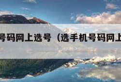 选手机号码网上选号（选手机号码网上选号电信）
