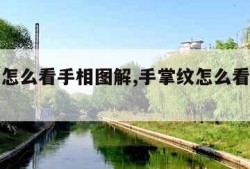 手掌纹怎么看手相图解,手掌纹怎么看手相图解图片