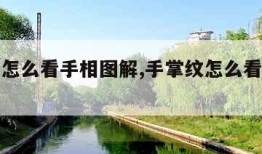手掌纹怎么看手相图解,手掌纹怎么看手相图解图片