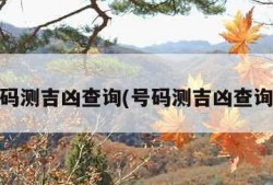 qq号码测吉凶查询(号码测吉凶查询官网)