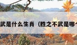 胜之不武是什么生肖（胜之不武是哪个生肖）