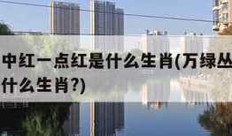 万绿丛中红一点红是什么生肖(万绿丛中红一点红是什么生肖?)