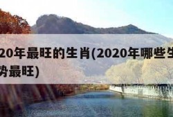2020年最旺的生肖(2020年哪些生肖运势最旺)