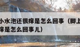脚上起小水泡还很痒是怎么回事（脚上起小水泡还很痒是怎么回事儿）