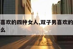 双子男喜欢的四种女人,双子男喜欢的四种女人是什么