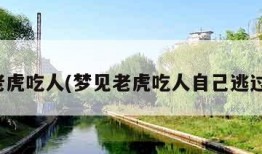 梦见老虎吃人(梦见老虎吃人自己逃过一劫)