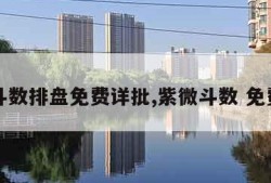 紫微斗数排盘免费详批,紫微斗数 免费排盘