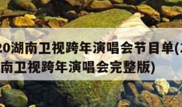 2020湖南卫视跨年演唱会节目单(2020湖南卫视跨年演唱会完整版)