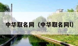 中华取名网（中华取名网l）