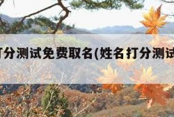 姓名打分测试免费取名(姓名打分测试免费100分)