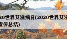 2020世界艾滋病日(2020世界艾滋病日宣传总结)